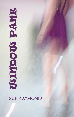 Window Pane ebook cover